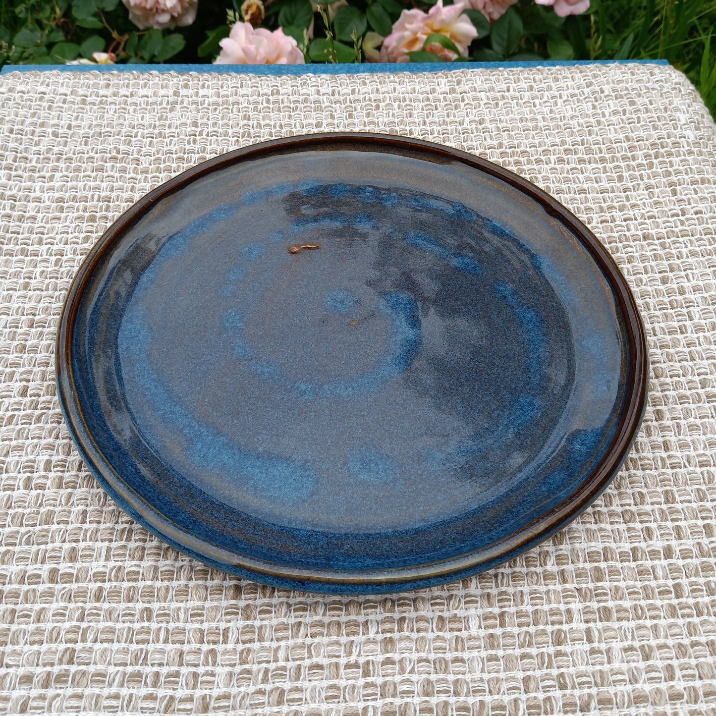 Blue spiral plate